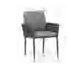 Pavo  dining chair